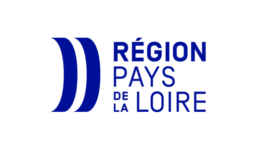 1-region PDL_RVB